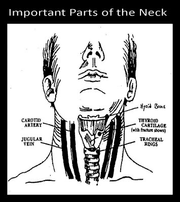 manual strangulation marks