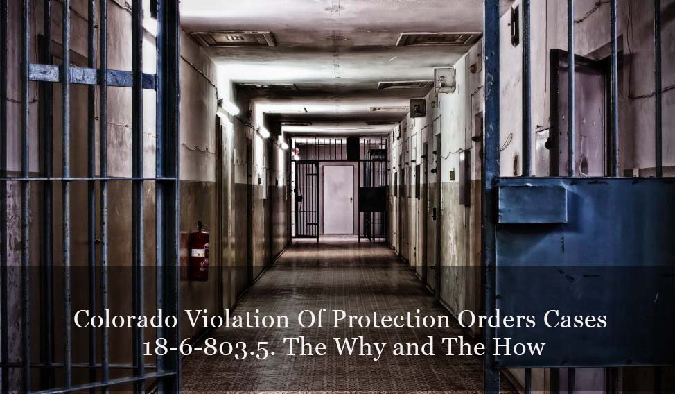 Colorado Violation Of Protection Orders Cases -18-6-803.5. The Why and The How